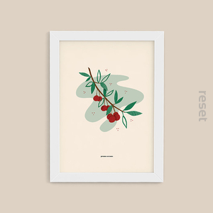 Plakat Wiśnia 30x40 w tubie