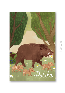 plakat Dziki (bez ramy)  30 x40
