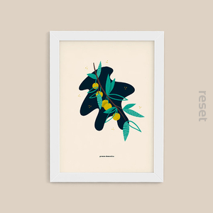 Plakat Mirabelka 30x40 w tubie