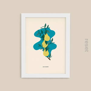 Plakat Gruszka 30x40 w tubie
